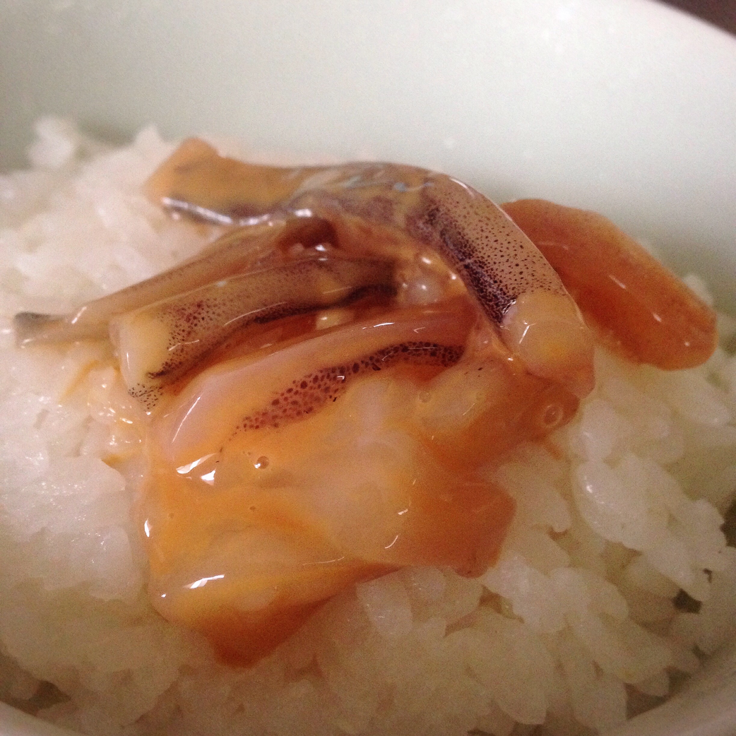 f:id:knkbbknk:20160323213140j:image f:id:knkbbknk:20160323213140j:image