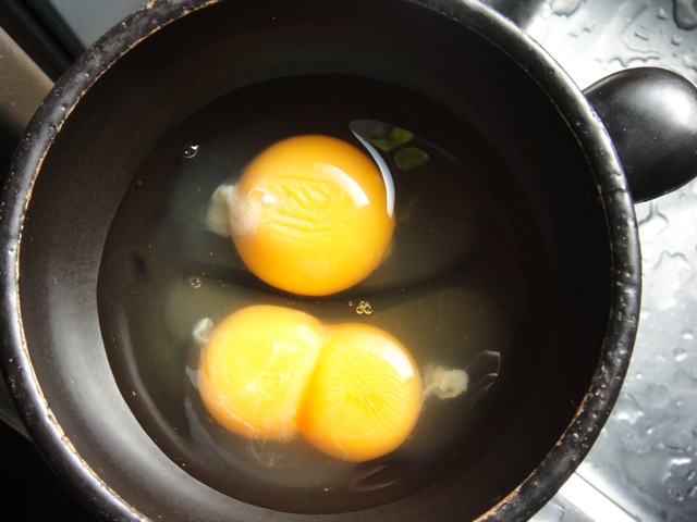 f:id:knnl-ai:20100430153333j:image f:id:knnl-ai:20100430153333j:image