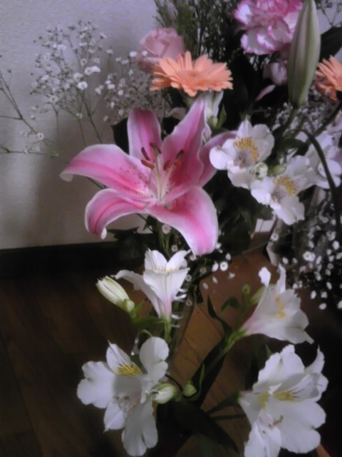 f:id:knnl-ai:20120404214656j:image f:id:knnl-ai:20120404214656j:image
