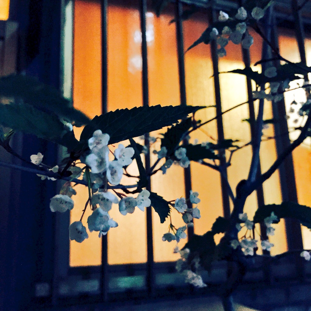 f:id:knnl-ai:20160417005614j:image f:id:knnl-ai:20160417005614j:image