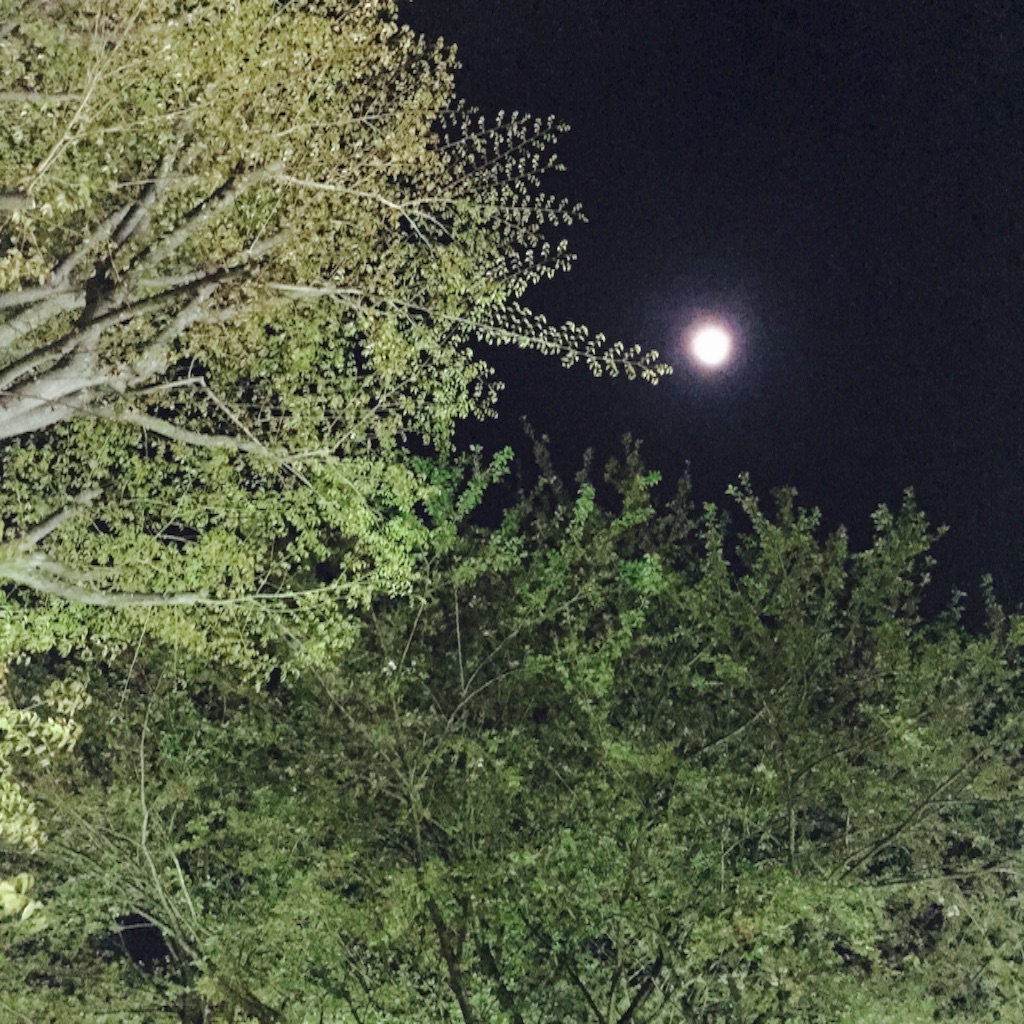 f:id:knnl-ai:20160418003143j:image f:id:knnl-ai:20160418003143j:image