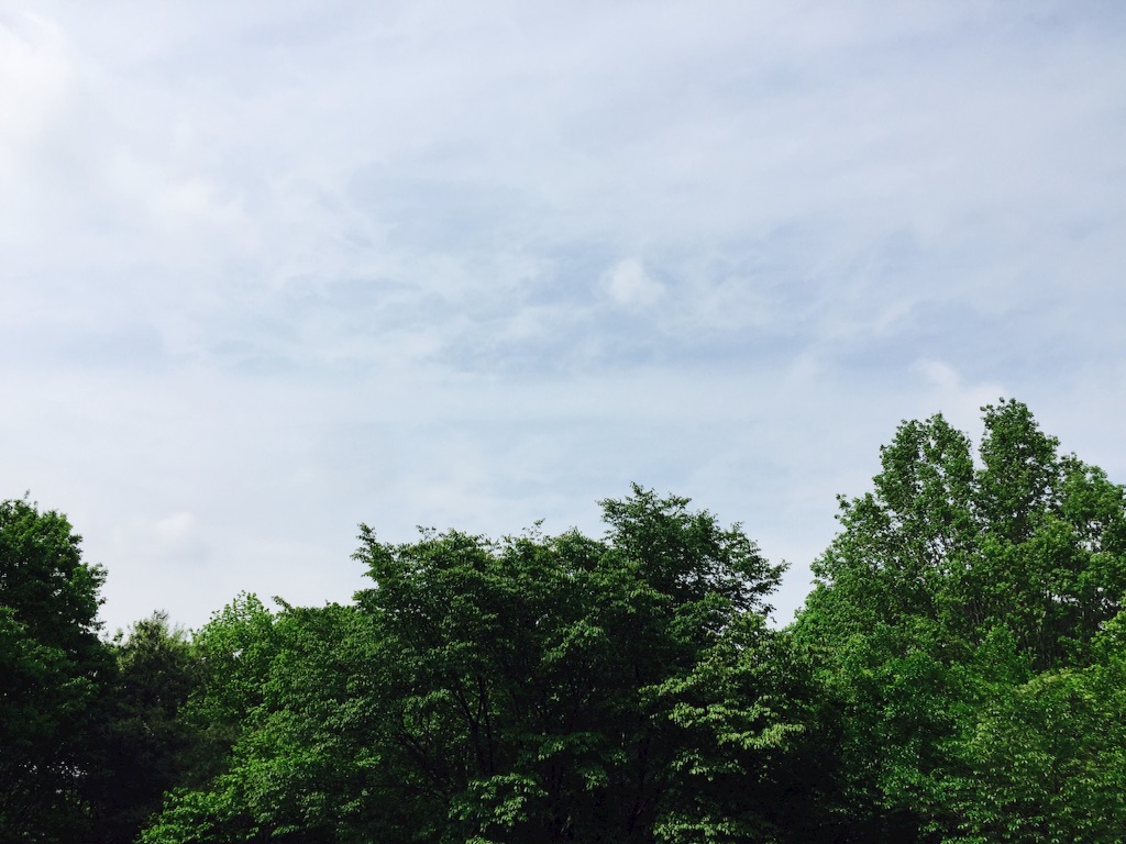 f:id:knnl-ai:20160425004444j:image f:id:knnl-ai:20160425004444j:image