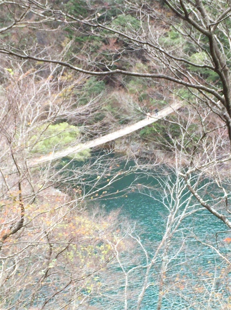 f:id:ko-chanblog95:20151129222255j:image f:id:ko-chanblog95:20151129222255j:image