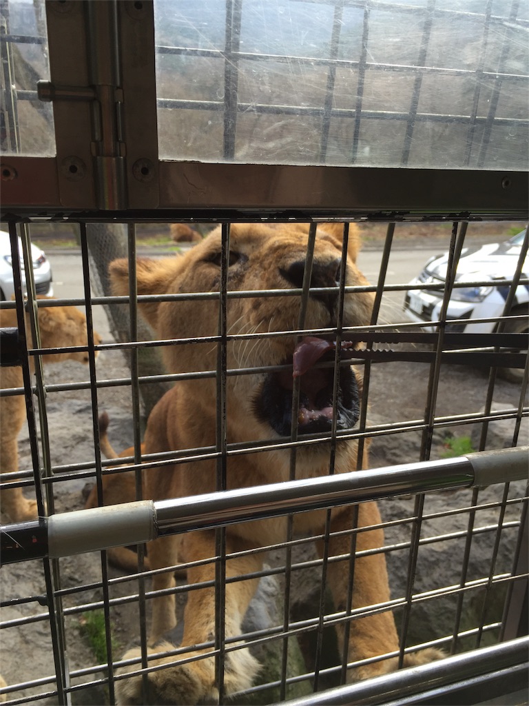 f:id:ko-chanblog95:20151220221158j:image f:id:ko-chanblog95:20151220221158j:image
