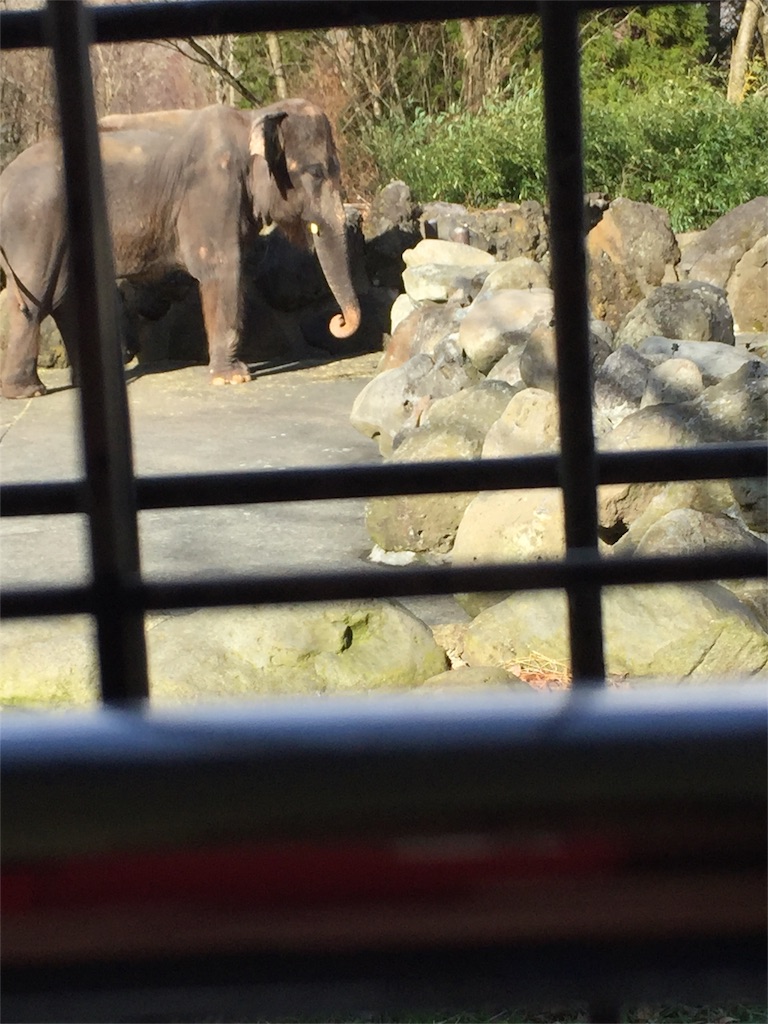 f:id:ko-chanblog95:20151220221606j:image f:id:ko-chanblog95:20151220221606j:image