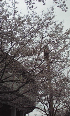 f:id:ko77:20100404131534j:image f:id:ko77:20100404131534j:image