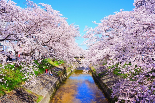 f:id:koba40:20150406150338j:plain f:id:koba40:20150406150338j:plain