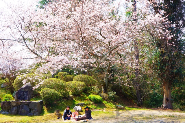f:id:koba40:20150406150729j:plain f:id:koba40:20150406150729j:plain