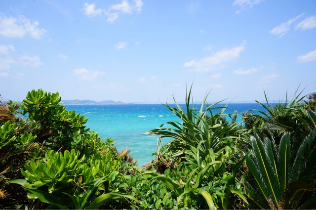 f:id:koba40:20150419175027j:plain f:id:koba40:20150419175027j:plain