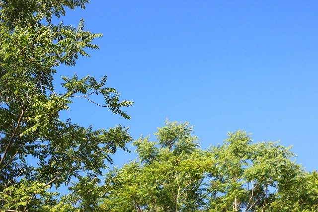 f:id:koba40:20150524204353j:image f:id:koba40:20150524204353j:image