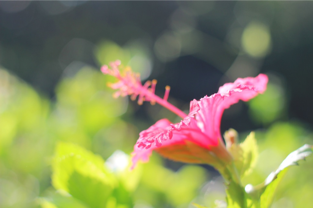 f:id:koba40:20151130213045j:image f:id:koba40:20151130213045j:image