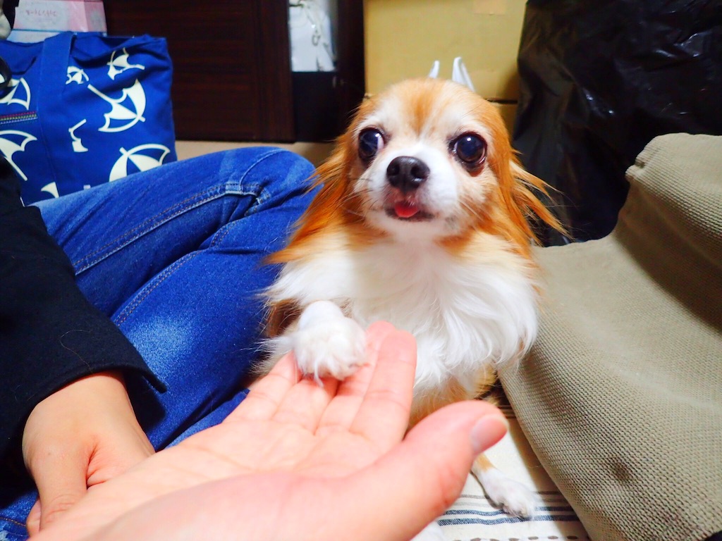 f:id:koba40:20151208230336j:image f:id:koba40:20151208230336j:image