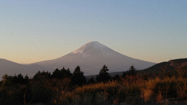f:id:kobakkuma:20160104231858j:image f:id:kobakkuma:20160104231858j:image