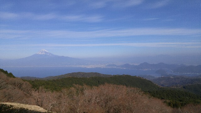 f:id:kobakkuma:20160104233015j:image f:id:kobakkuma:20160104233015j:image