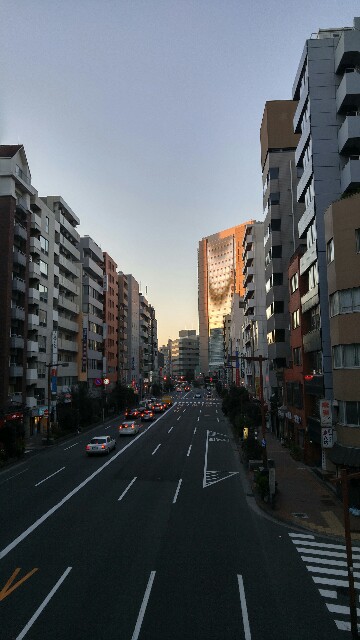 f:id:kobakkuma:20160113075643j:image f:id:kobakkuma:20160113075643j:image