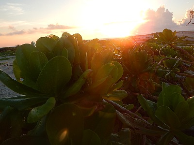 f:id:kobenomad:20140910210136j:plain f:id:kobenomad:20140910210136j:plain