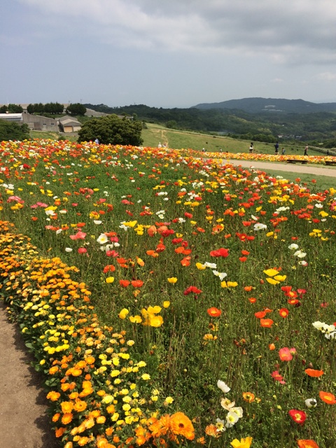 f:id:kobeoyaji:20140527071208j:plain