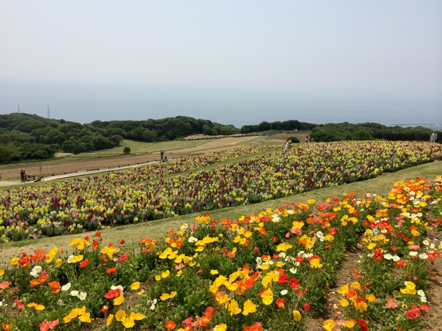 f:id:kobeoyaji:20140527071226j:plain f:id:kobeoyaji:20140527071226j:plain
