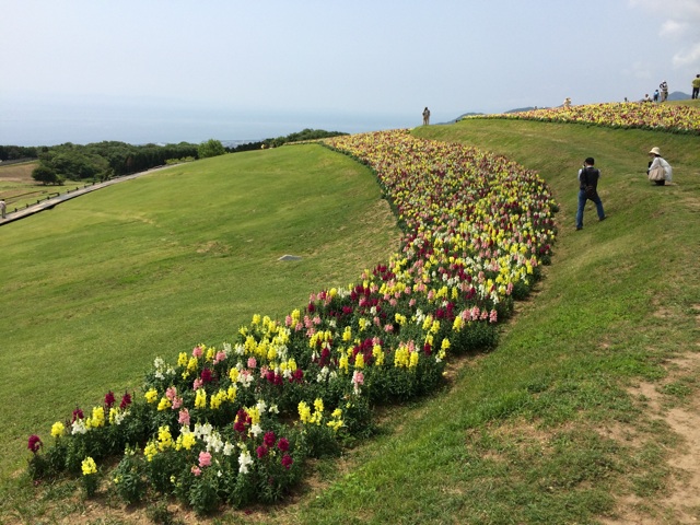 f:id:kobeoyaji:20140527071330j:plain f:id:kobeoyaji:20140527071330j:plain