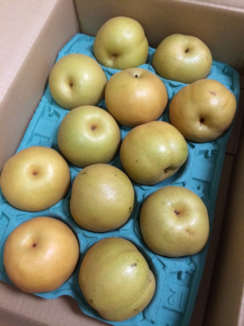 f:id:kobeoyaji:20140829210048j:plain f:id:kobeoyaji:20140829210048j:plain