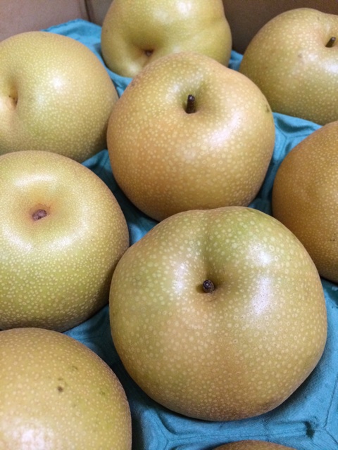 f:id:kobeoyaji:20140829210115j:plain f:id:kobeoyaji:20140829210115j:plain