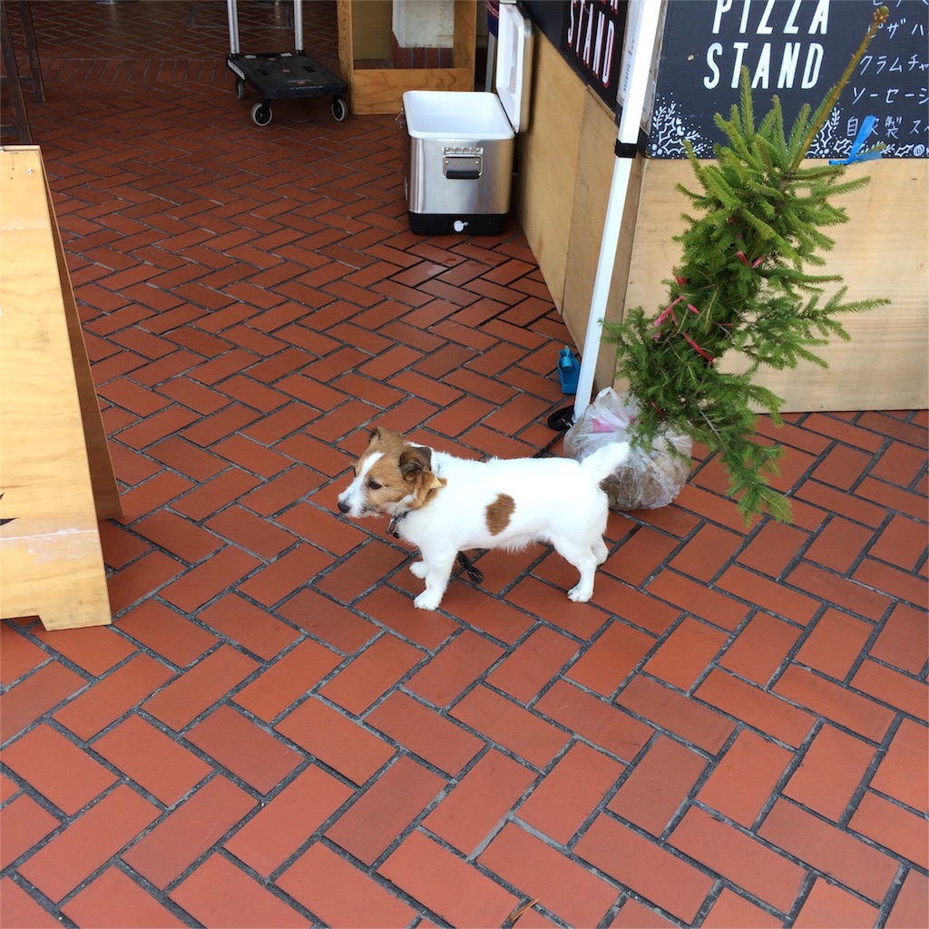 f:id:kobeoyaji:20151121170154j:image f:id:kobeoyaji:20151121170154j:image