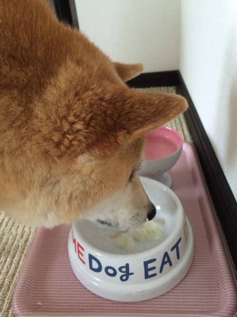 f:id:kobesansaku:20150727172256j:plain f:id:kobesansaku:20150727172256j:plain