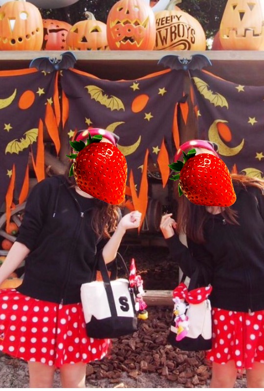 f:id:kobesansaku:20151027155130j:plain