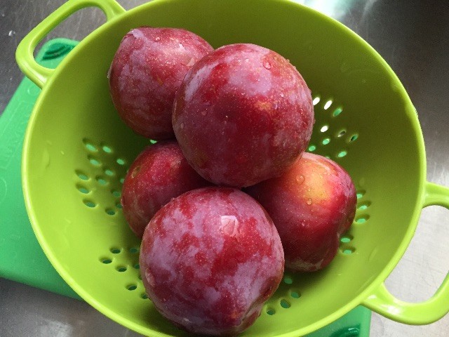 f:id:kobumakidays:20150628144039j:image f:id:kobumakidays:20150628144039j:image
