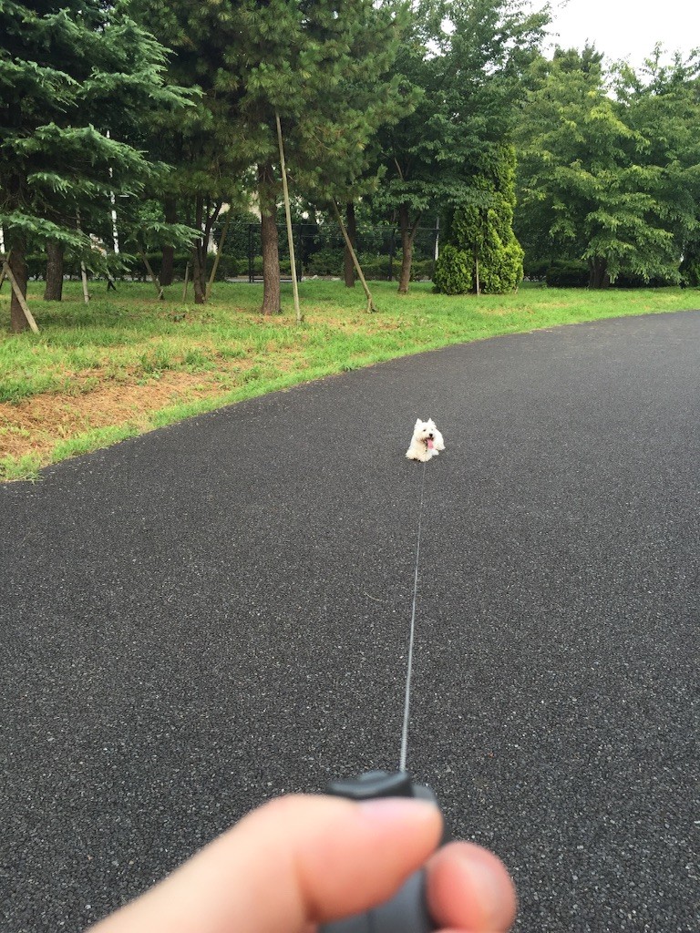 f:id:kobumakidays:20150729164209j:image f:id:kobumakidays:20150729164209j:image