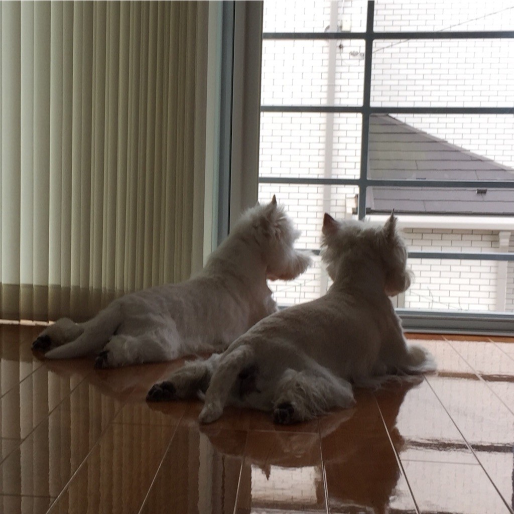 f:id:kobumakidays:20150823065306j:image f:id:kobumakidays:20150823065306j:image