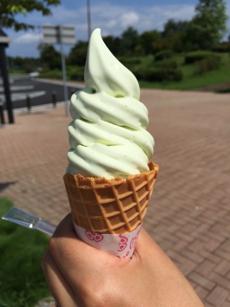 f:id:kobumakidays:20150907090836j:image f:id:kobumakidays:20150907090836j:image