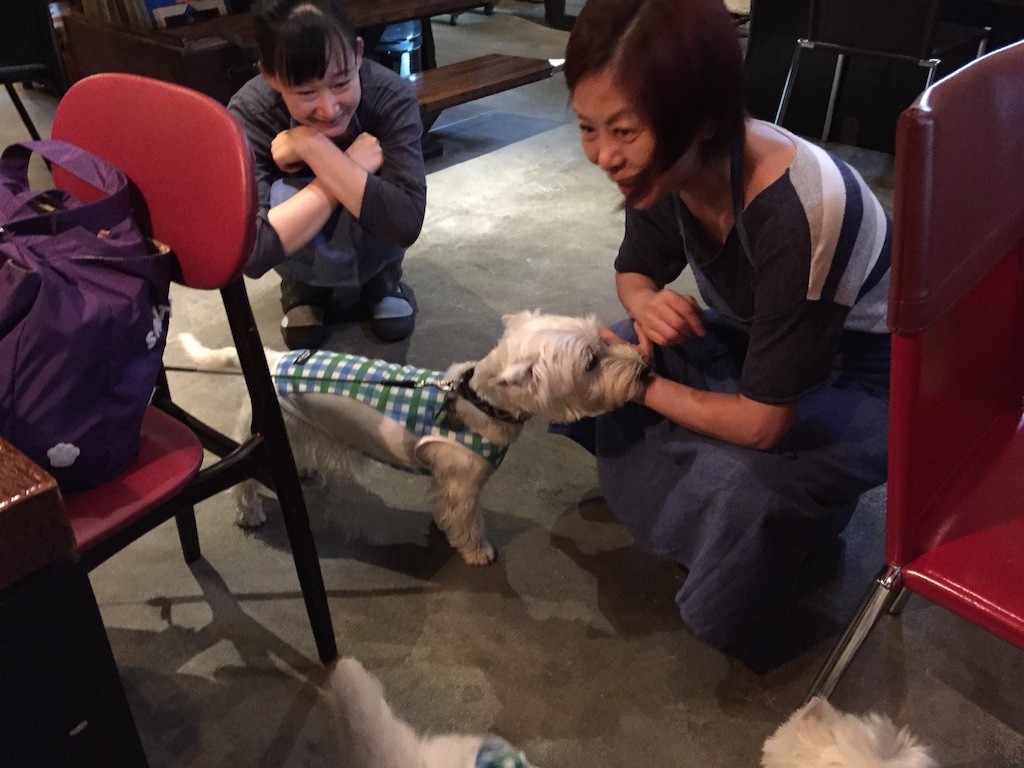 f:id:kobumakidays:20150907091429j:image f:id:kobumakidays:20150907091429j:image