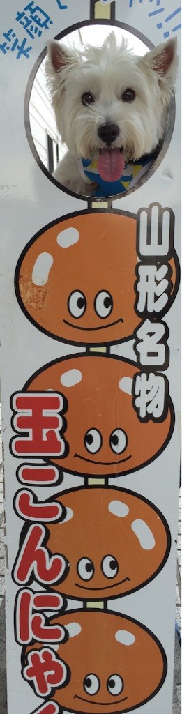 f:id:kobumakidays:20150914090145j:image f:id:kobumakidays:20150914090145j:image