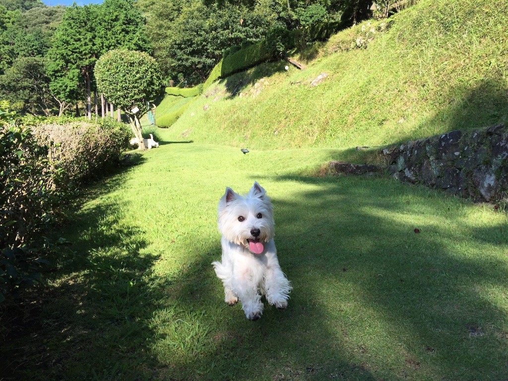 f:id:kobumakidays:20150914091229j:image f:id:kobumakidays:20150914091229j:image