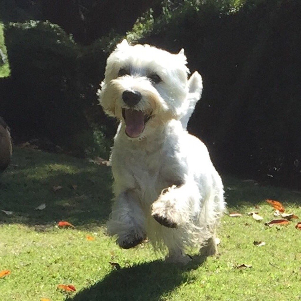 f:id:kobumakidays:20150914091251j:image f:id:kobumakidays:20150914091251j:image