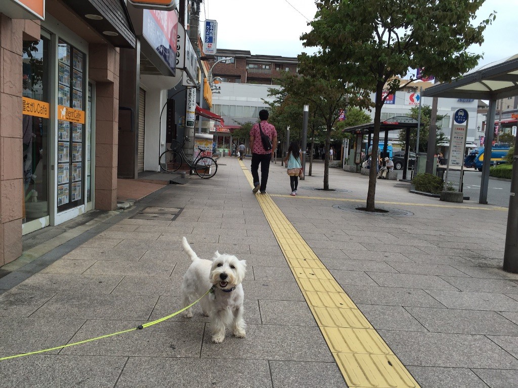 f:id:kobumakidays:20150914091914j:image f:id:kobumakidays:20150914091914j:image