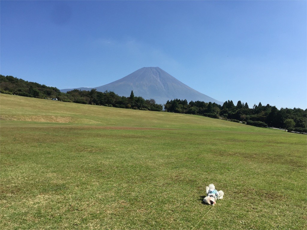 f:id:kobumakidays:20151011081700j:image f:id:kobumakidays:20151011081700j:image