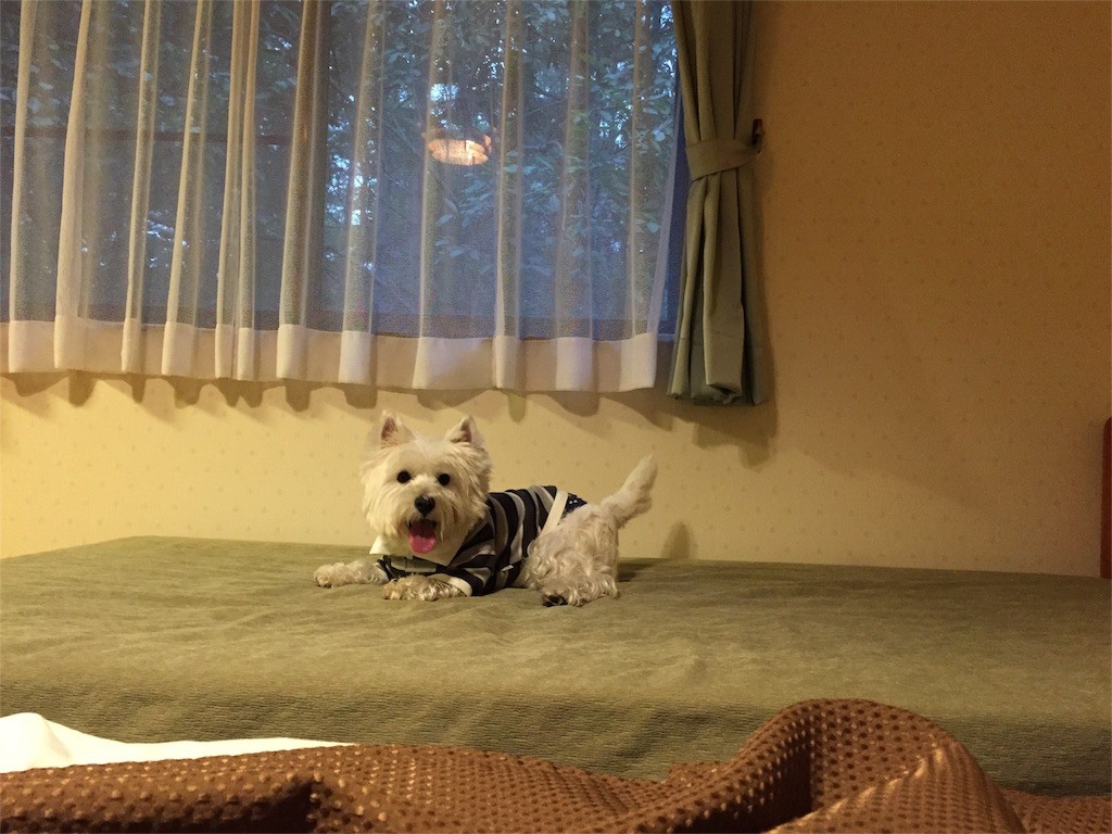 f:id:kobumakidays:20151019201726j:image f:id:kobumakidays:20151019201726j:image
