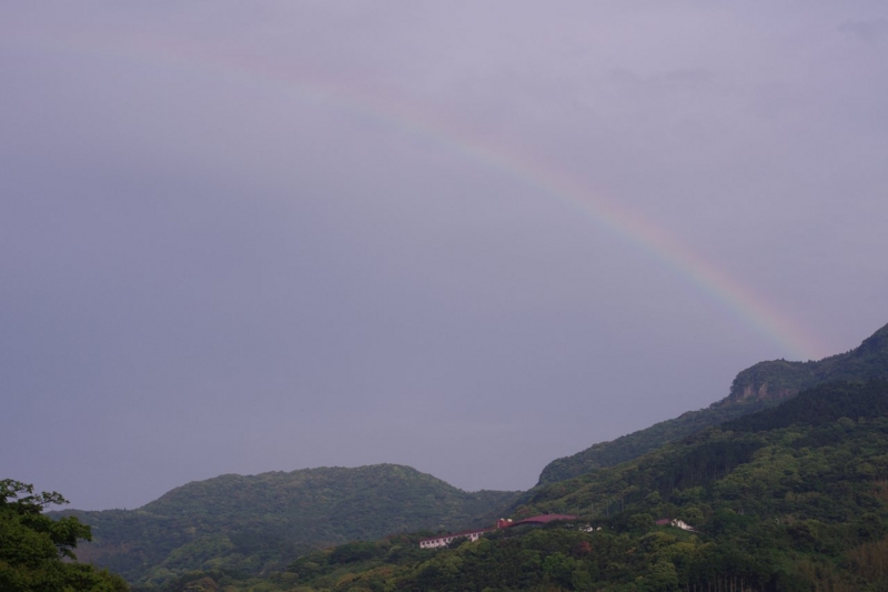 f:id:kochin01:20120521174757j:image:w640 f:id:kochin01:20120521174757j:image:w640