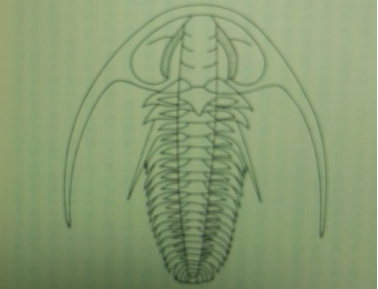 f:id:kocho-3:20131213081949p:plain