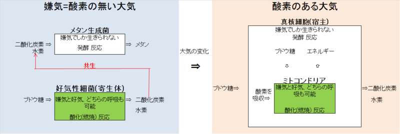 f:id:kocho-3:20140208104549p:plain