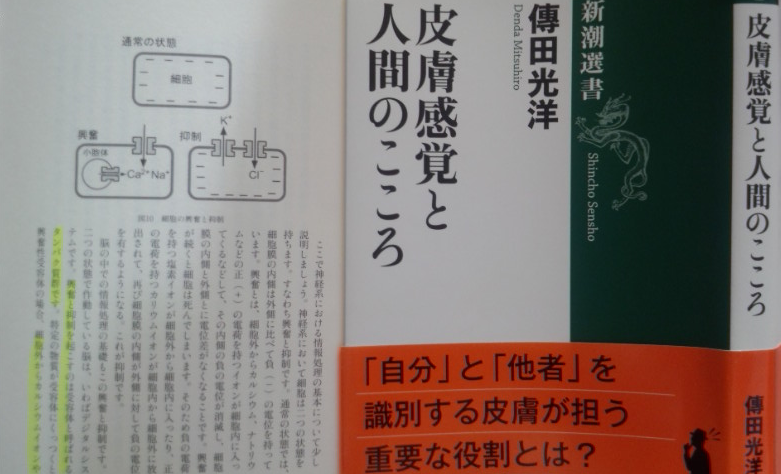 f:id:kocho-3:20140721231829p:plain