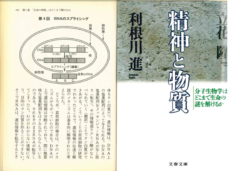 f:id:kocho-3:20150212083910p:plain f:id:kocho-3:20150212083910p:plain