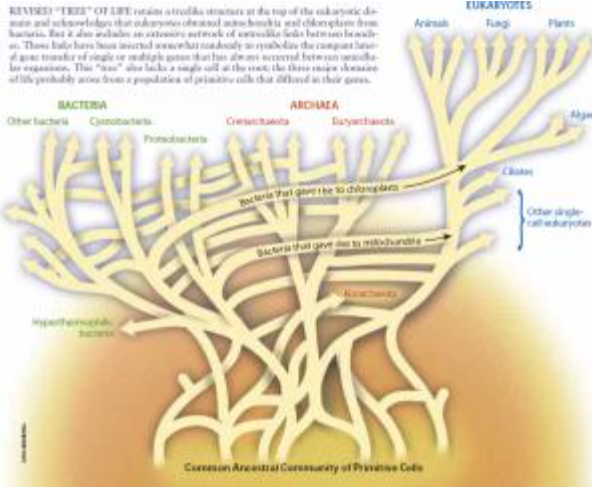 f:id:kocho-3:20160503093600p:plain