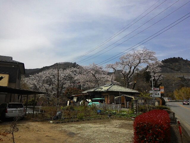 f:id:kodokunoguruman:20160406203907j:image f:id:kodokunoguruman:20160406203907j:image