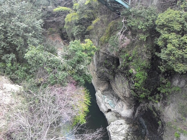 f:id:kodokunoguruman:20160406204901j:image f:id:kodokunoguruman:20160406204901j:image