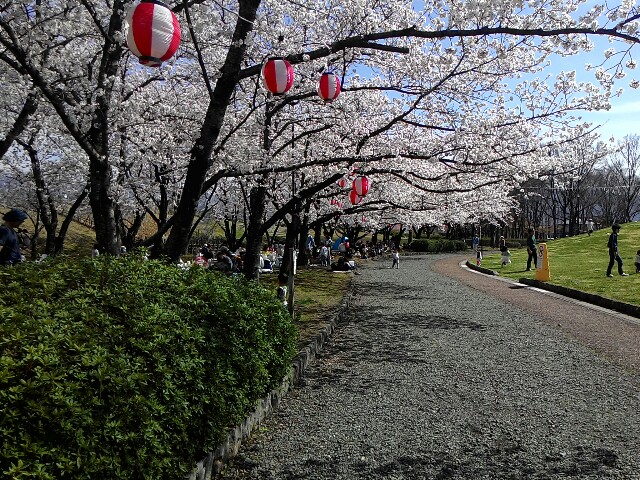f:id:kodokunoguruman:20160409210244j:image f:id:kodokunoguruman:20160409210244j:image