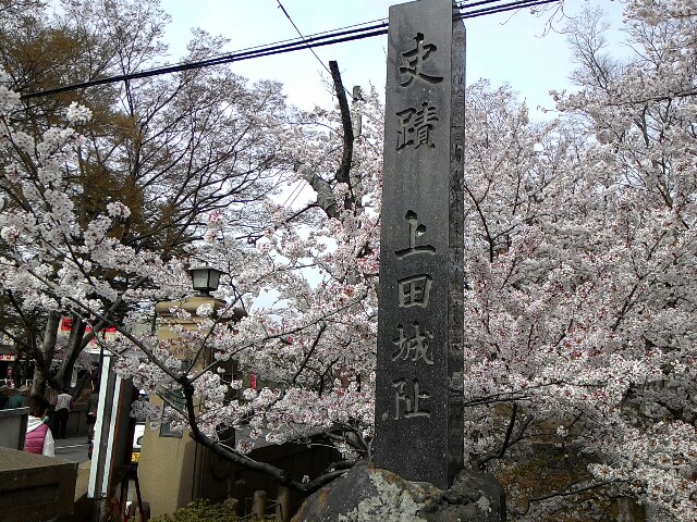 f:id:kodokunoguruman:20160411100530j:image f:id:kodokunoguruman:20160411100530j:image