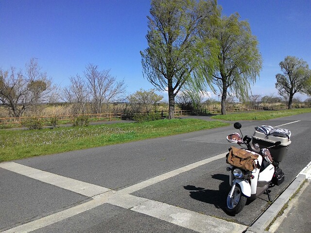 f:id:kodokunoguruman:20160415085708j:image f:id:kodokunoguruman:20160415085708j:image